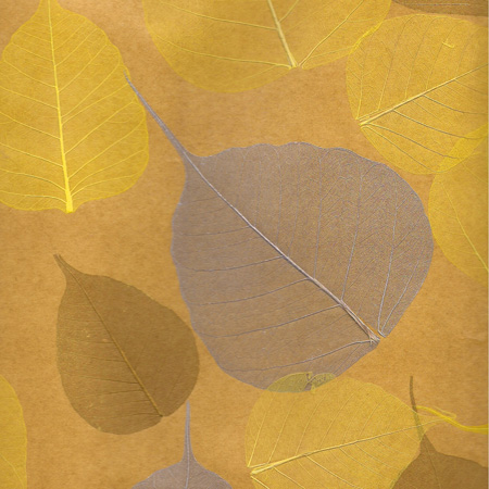 Cosca Лакшери Листья Прима Дорадо, 5,5х0,91 м