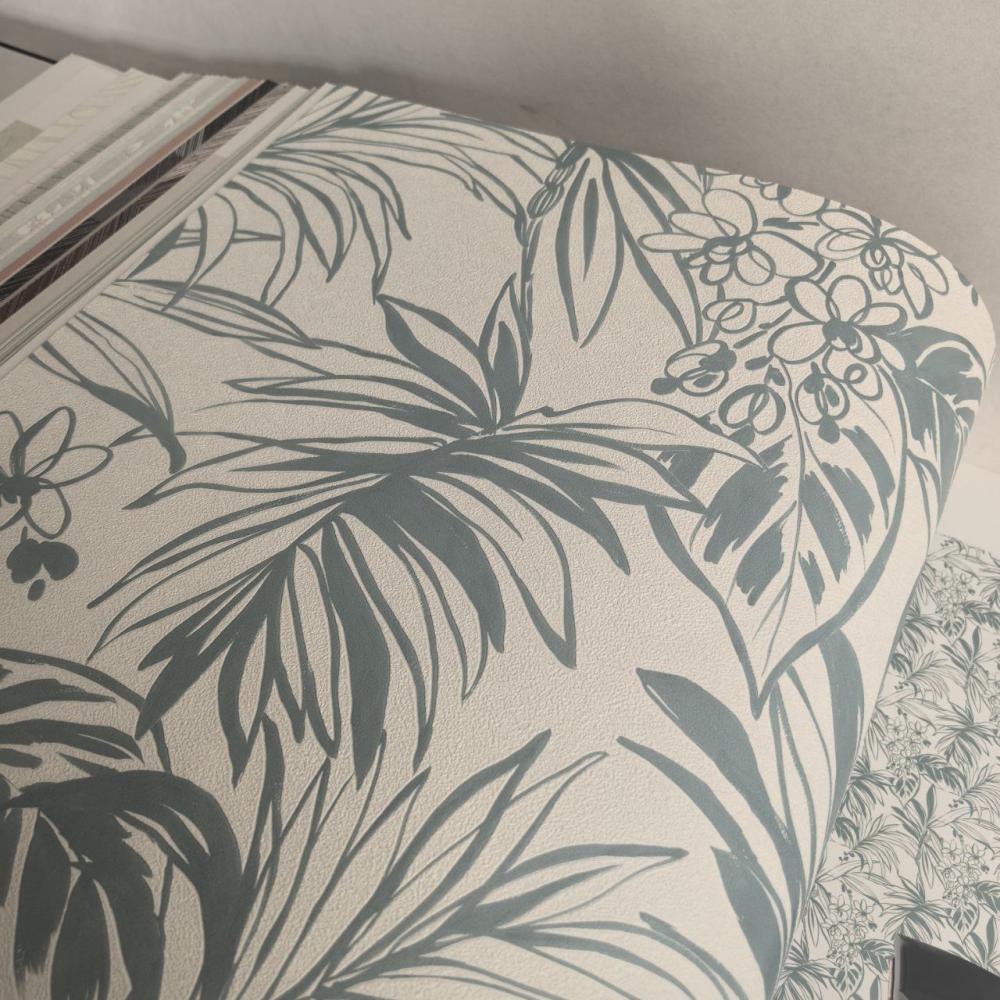 Andrea Rossi Berggi 54446-5