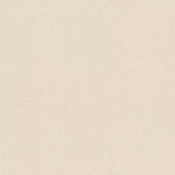 Rasch Wall Textures XL961911