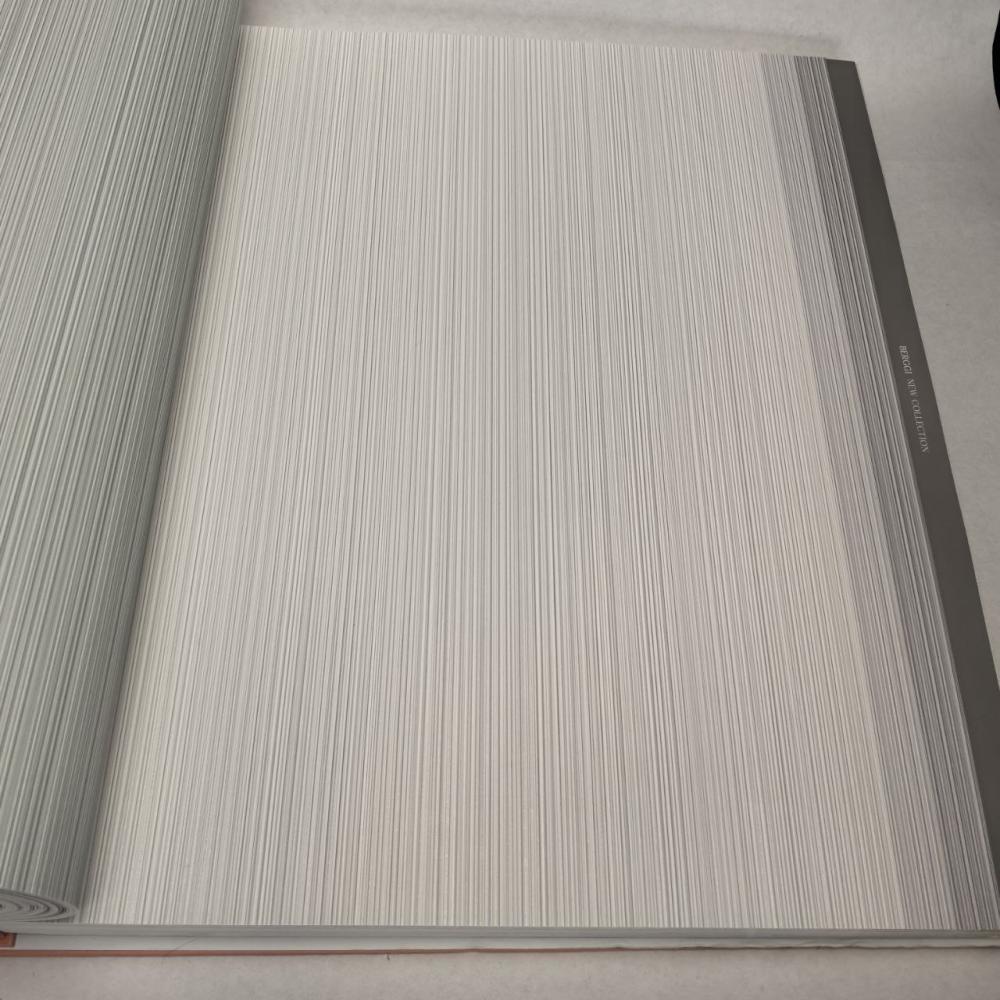 Andrea Rossi Berggi 54447-7