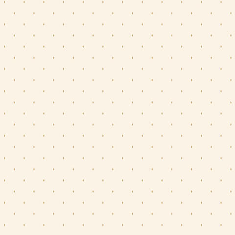 Andrea Rossi Gallinara 54312-4