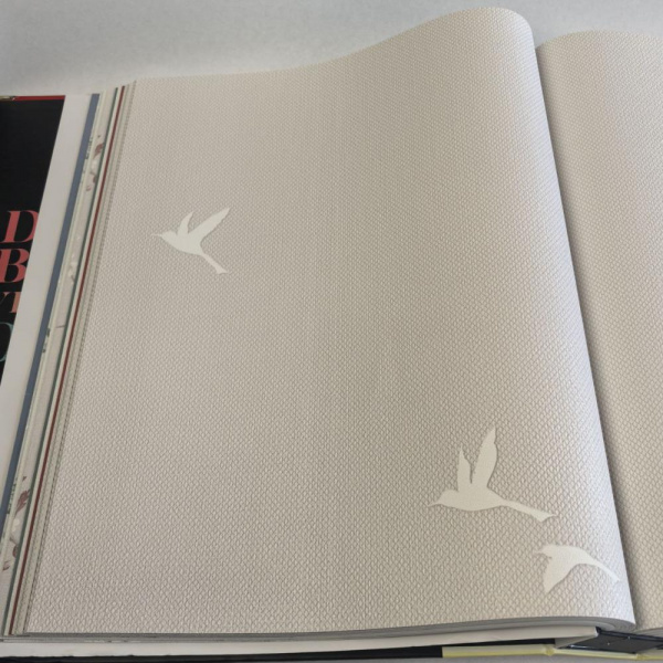 Andrea Rossi Spectrum Box 54458-10