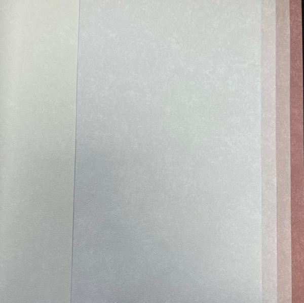 Обои Bernardo Bartalucci Concept 106 84279-22