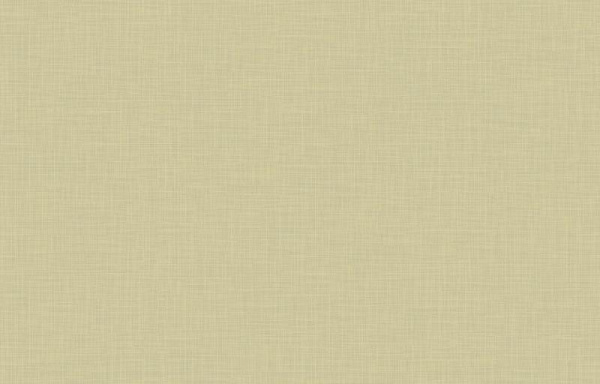 Loymina Origins ALS11 005