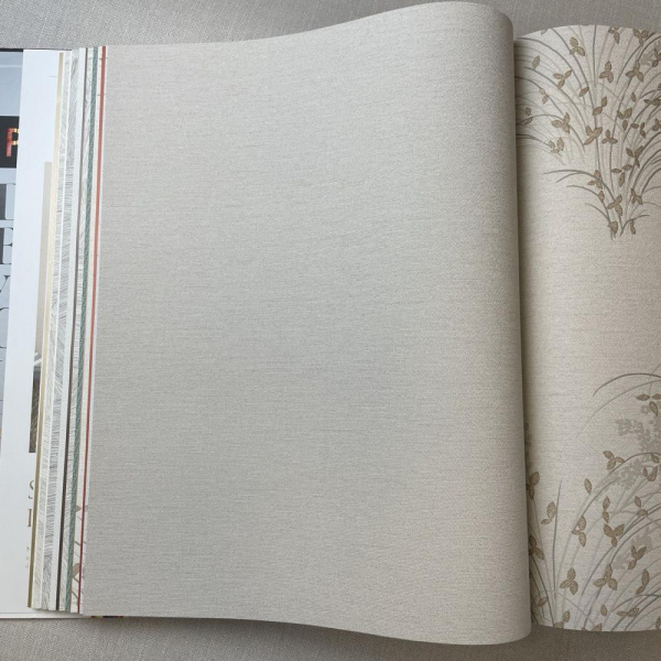 Andrea Rossi Palmaria 54467-7