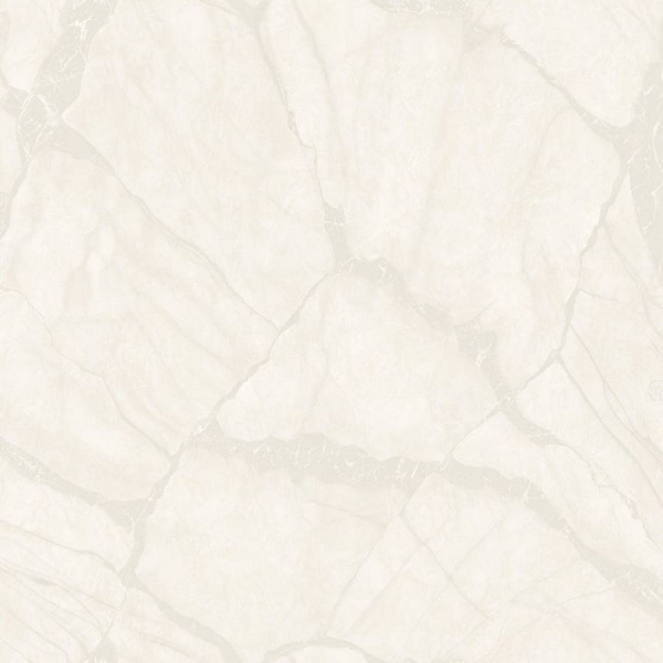 Zambaiti Parati Philipp Plein Z 81042