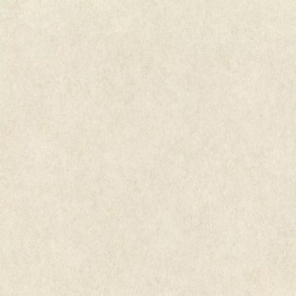 Rasch Wall Textures XL957334