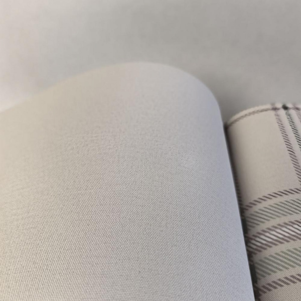 Andrea Rossi Cavolli 54416-2