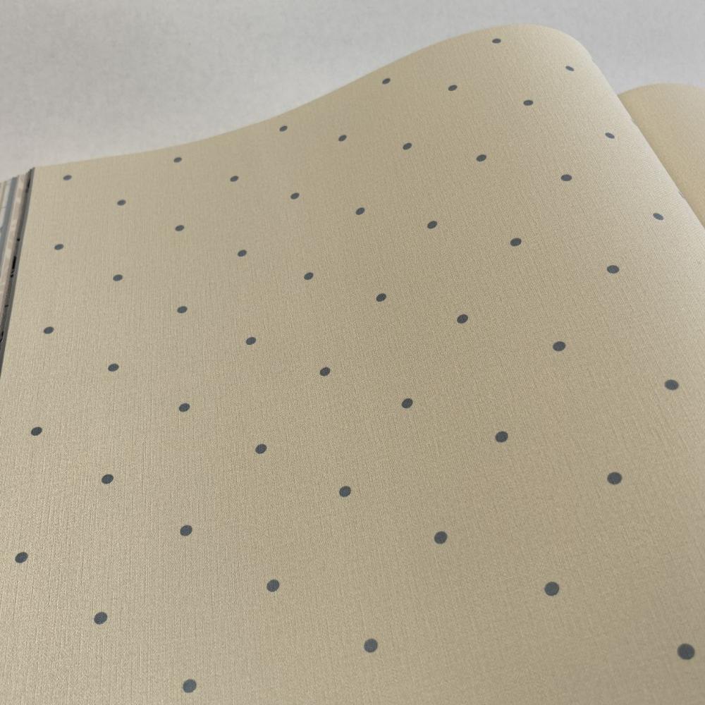 Andrea Rossi Spectrum Box 54454-23