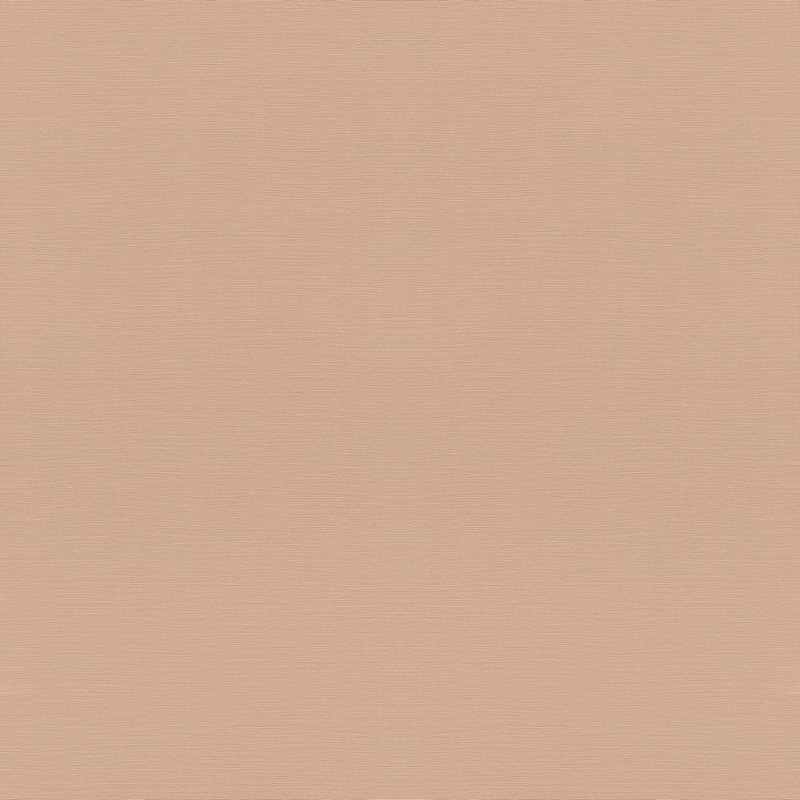 Rasch Natural Colors 687576