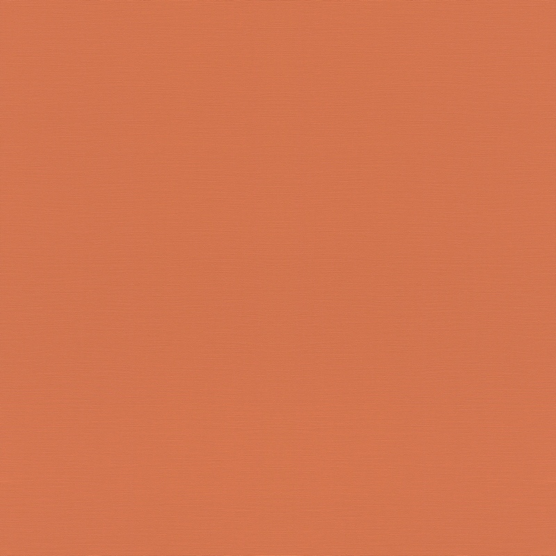 Rasch Natural Colors 687569