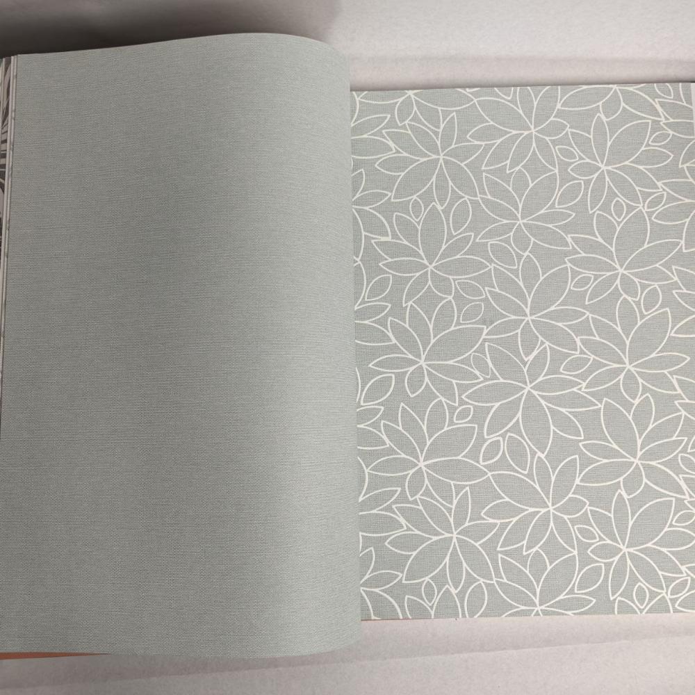 Andrea Rossi Berggi 54444-5