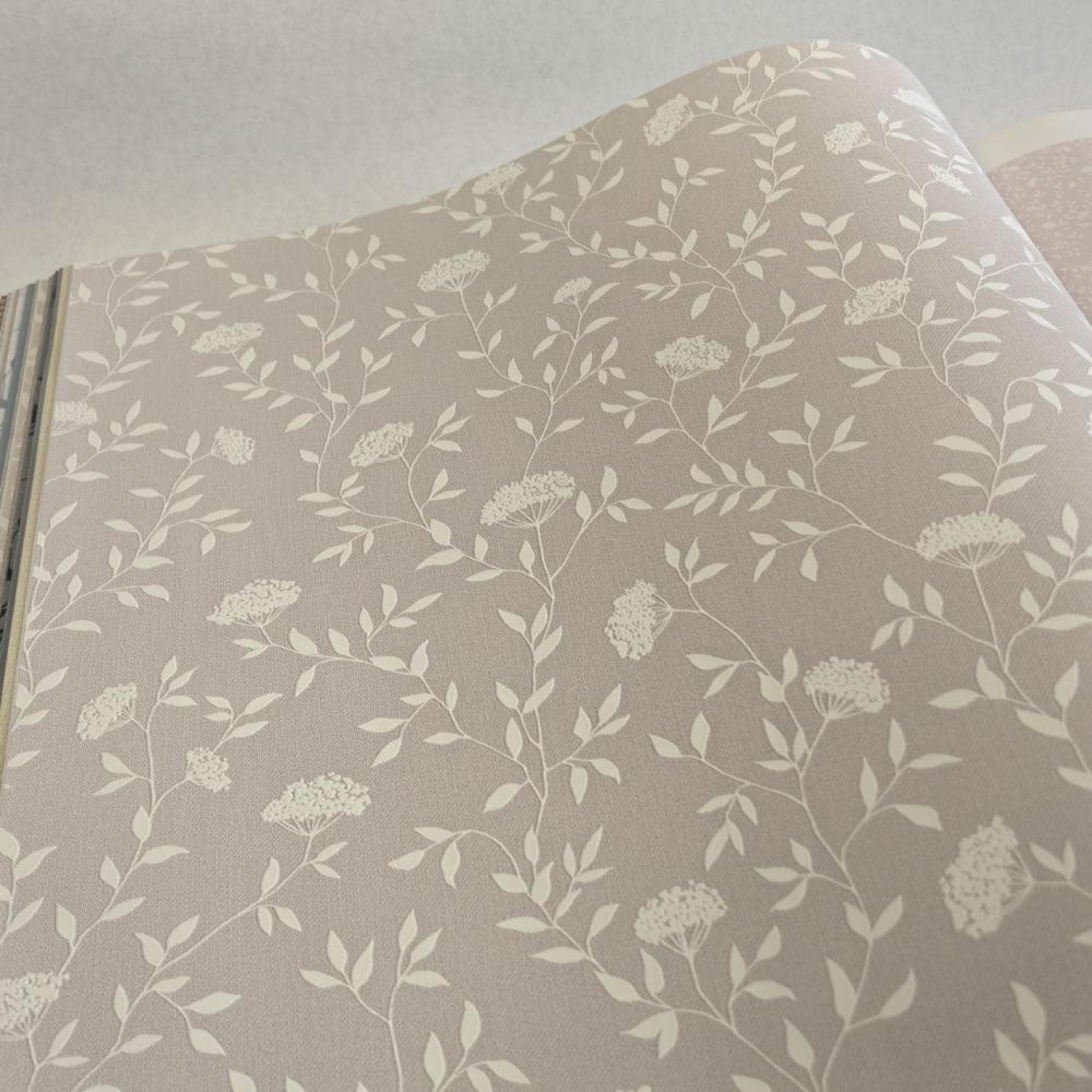 Andrea Rossi Spectrum Box 54456-10 Andrea Rossi Spectrum Box 54456-10