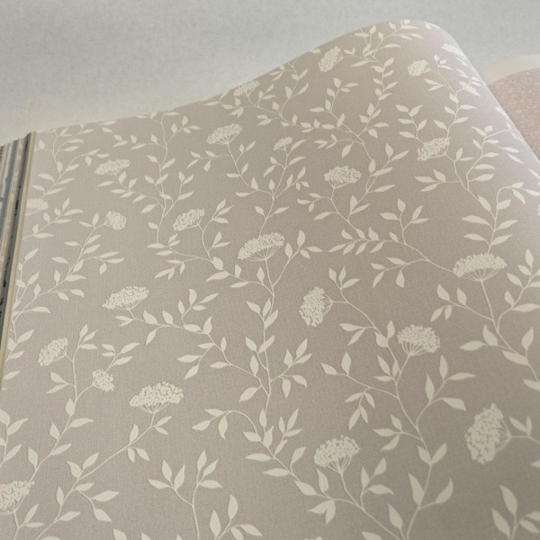 Andrea Rossi Spectrum Box 54456-10 Andrea Rossi Spectrum Box 54456-10