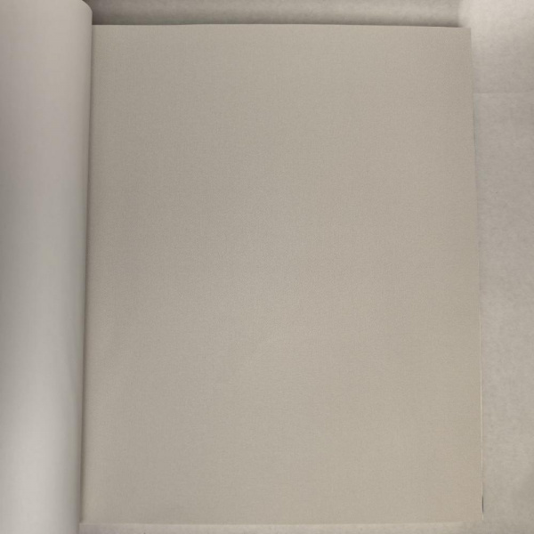 Andrea Rossi Berggi 54450-2