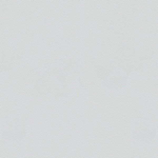 Erismann Elle 3 ER 12168-31