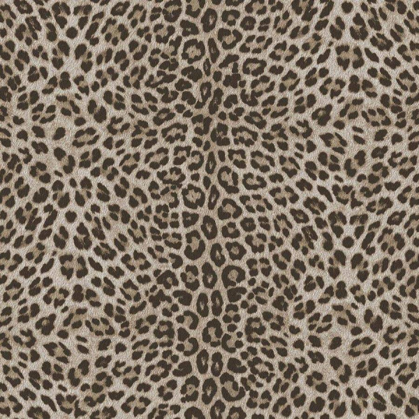 Zambaiti Parati Philipp Plein Z 81028