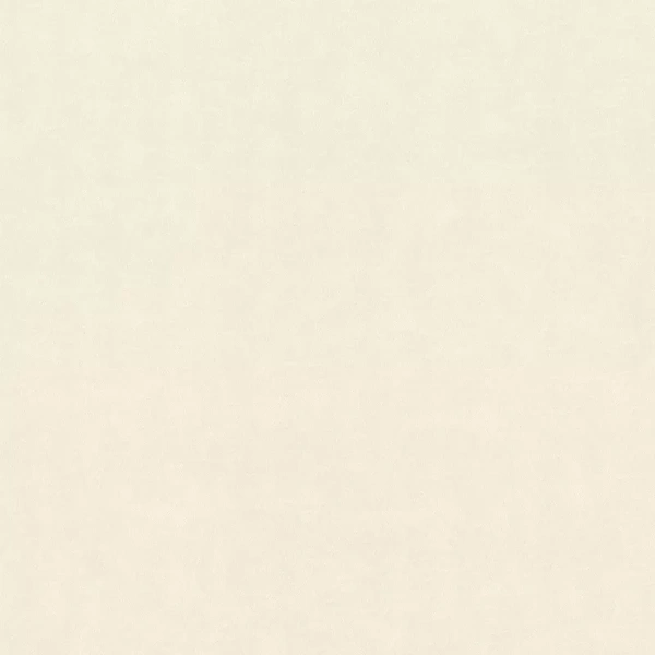 Rasch Wall Textures XL965001