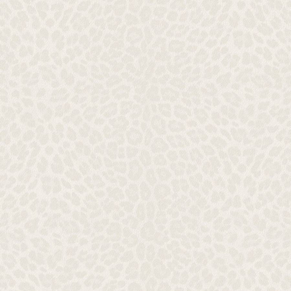 Zambaiti Parati Philipp Plein Z 81030