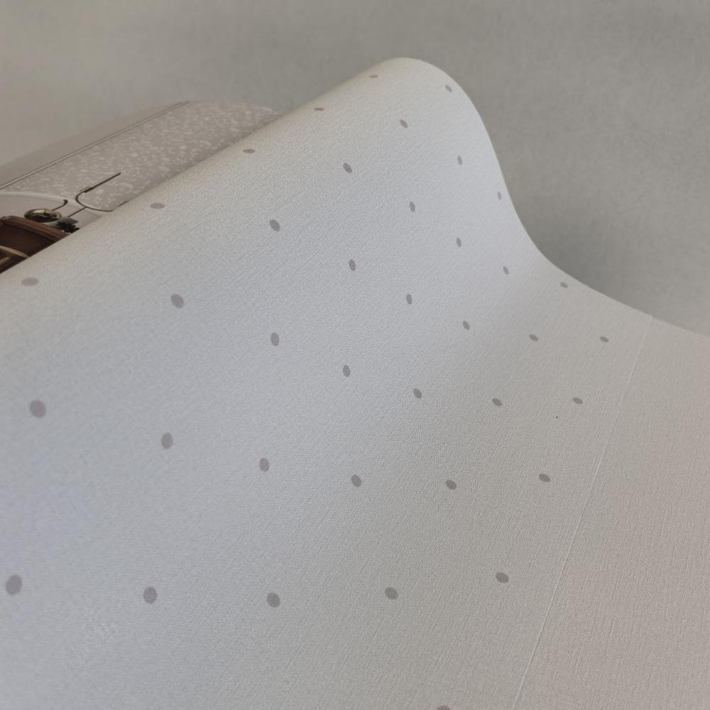 Andrea Rossi Spectrum Box 54454-21