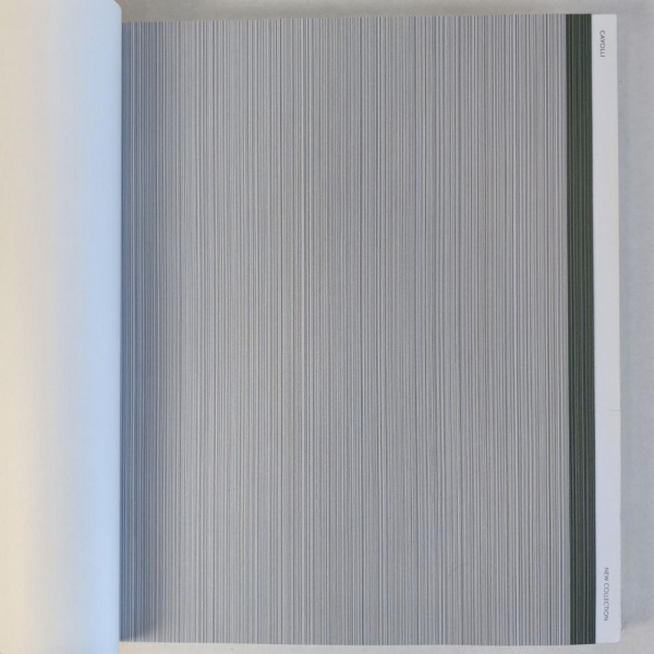 Andrea Rossi Cavolli 54425-7