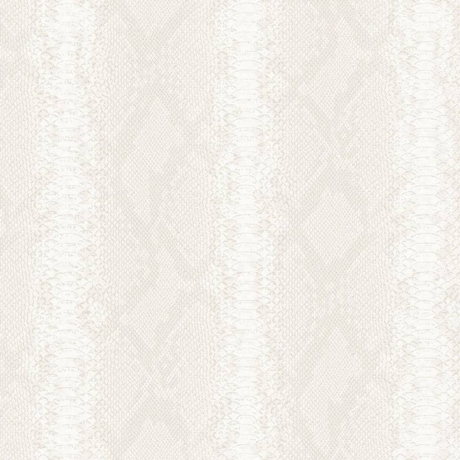 Zambaiti Parati Philipp Plein Z 81033