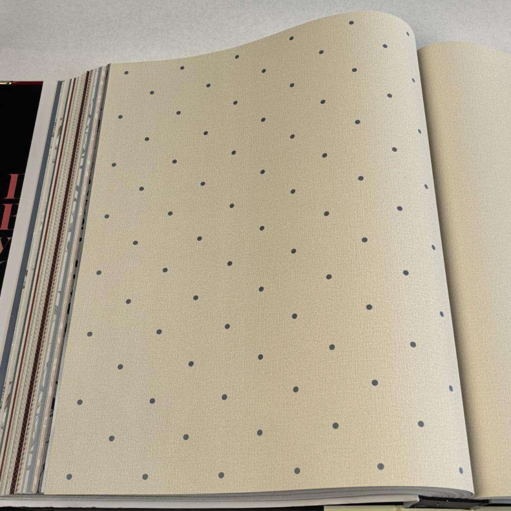 Andrea Rossi Spectrum Box 54454-23